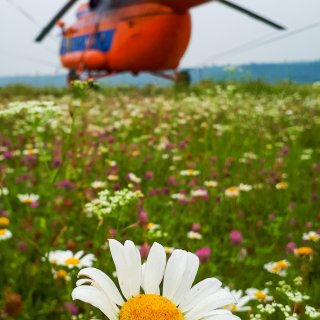 Автор: Антон Бухтояров