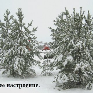 Автор: Сергей Мутовин