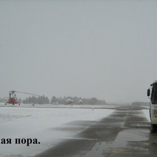 Автор: Сергей Мутовин