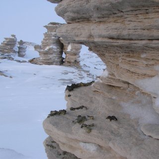 Автор: Сергей Петриков