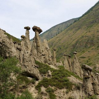 Автор: Сергей Петриков