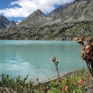 Автор: Сергей Петриков