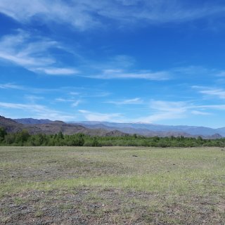 Автор: Сергей Петриков