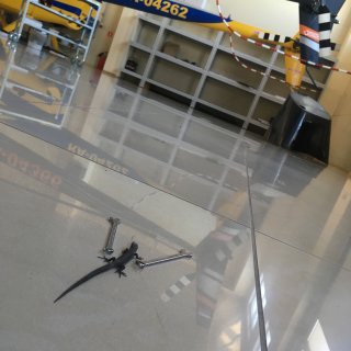 Автор: Виталий Пульянович