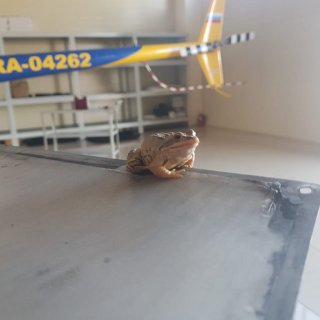 Автор: Виталий Пульянович