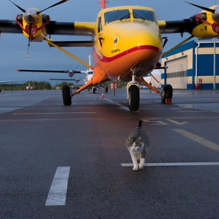 Автор: Антон Шершнев