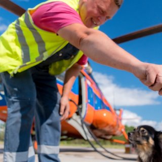 Автор: Антон Шершнев